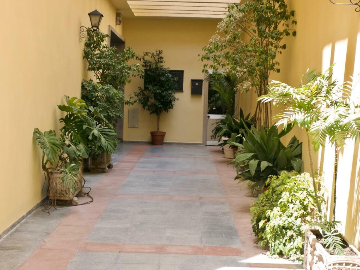 El Rio — Fotos 2
